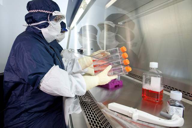 Contract Manufacturing Organization