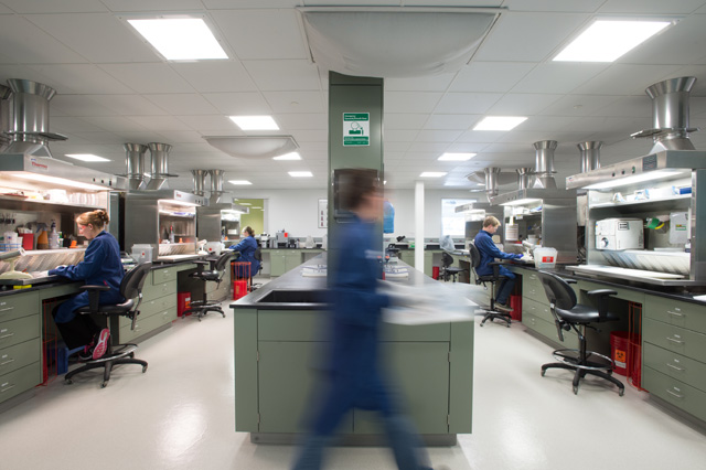 technician in necropsy laboratory