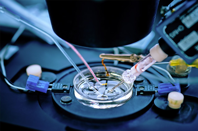 ion channel testing