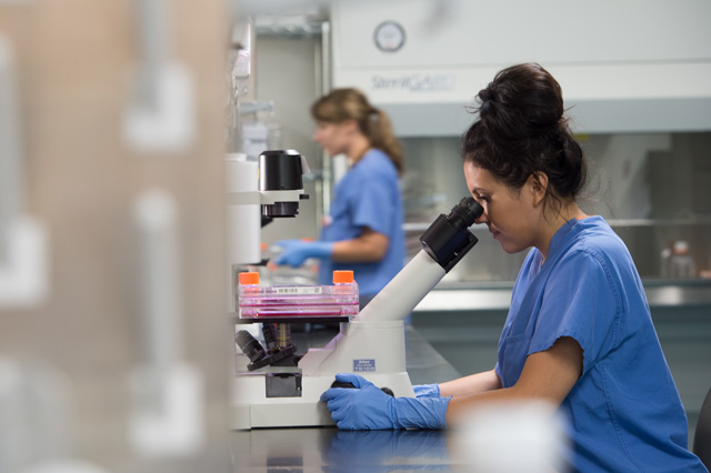 Scientist looking identifying small molecule samples through a microscope during small molecule drug discovery process.