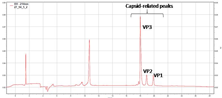 Vector protein characterization by capillary electrophoresis sodium dodecyl sulfate (CE-SDS)
