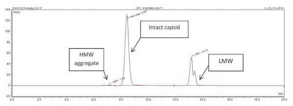 vector aggregation characterization by size-exclusion chromatography
