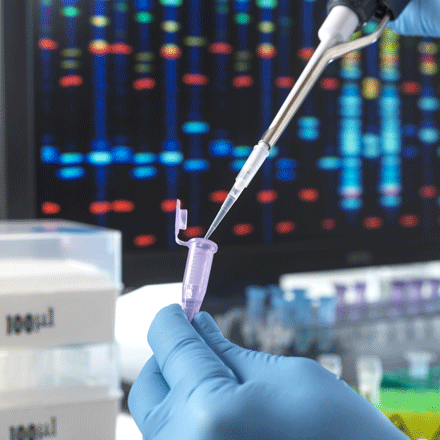 Pouring DNA sample through pipette