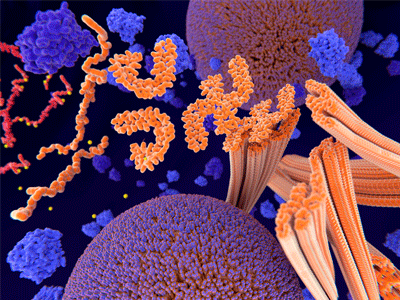 Tau protein in red and yellow