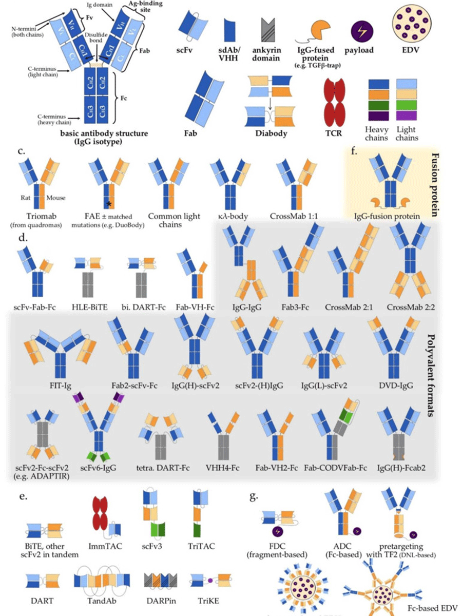 Multi-specific formats in c. trials.