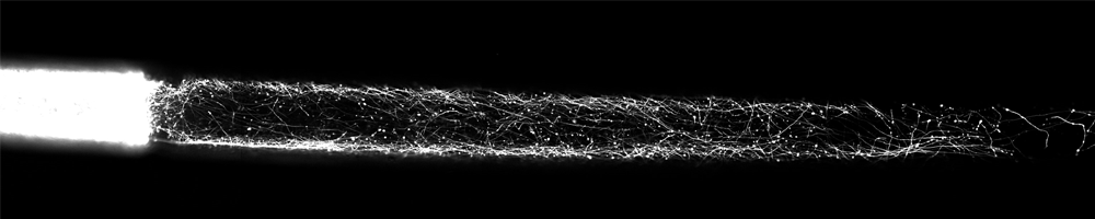 Innervated scaffold in high content analysis experiment.