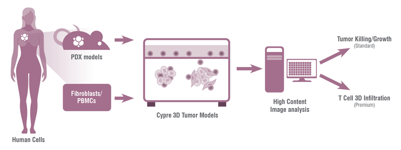 Schematic of Cypre 3D tumor modeling system