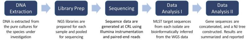 Workflow for multilocus sequence typing