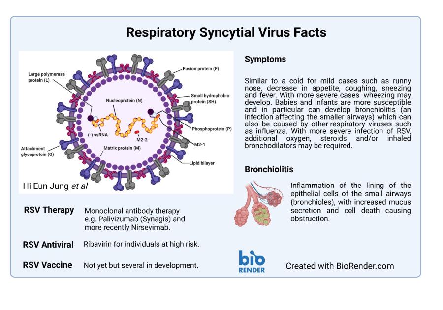 RSV PRIMER CHART