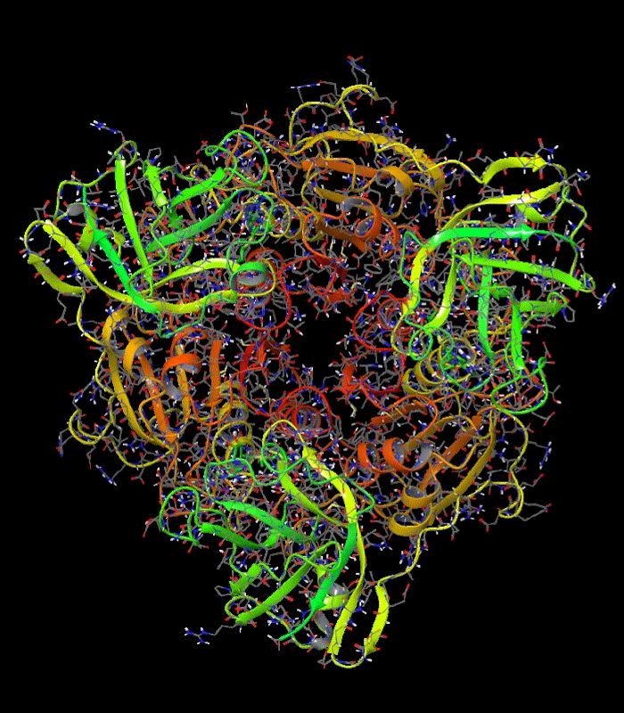 X-ray crystallization of fluorine enzyme.