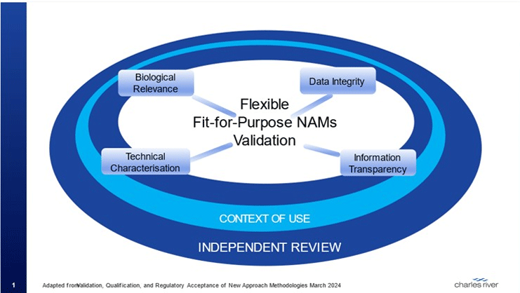 New Approach Methods -- Fit-for-Purpose Validation