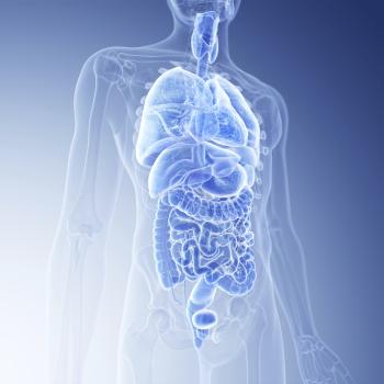 Schematic of Human organs