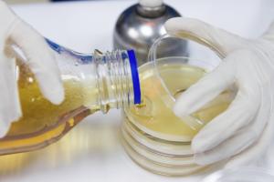Pouring media in a lab