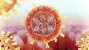 Screening for rodent pathgens