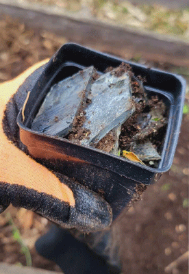 Cataloguing glass found in garden