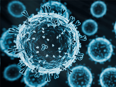 The HPAI H5N1 virus (bird flu)