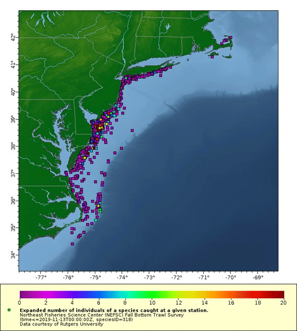 Distribution of horseshoe crabs from Fall trawl samples