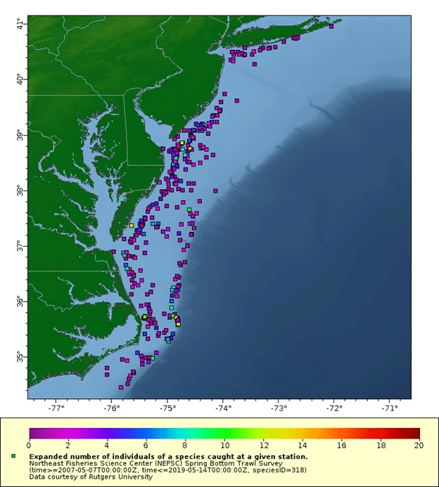 Distribution of horseshoe crabs from Spring trawl samples