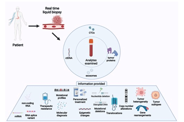 Liquid Biopsy: How it is done.