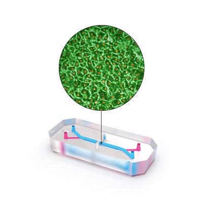 Liver chip technology from Emulate Inc.