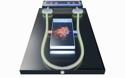 Organ Chip Technology