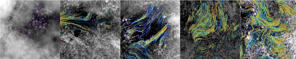 MCC Analysis with Overlaying Microbead Tracks