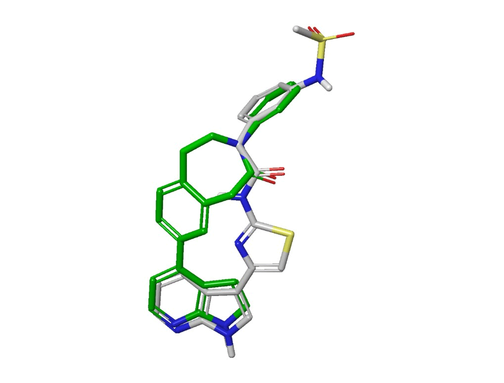 Ligand poses taken from RCSB X-ray structures