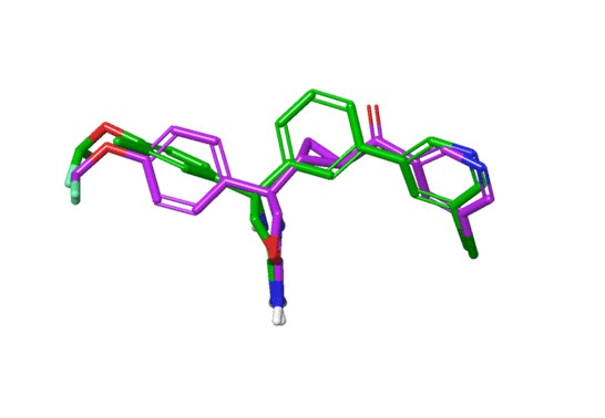 X-ray poses of BAC1 ligands