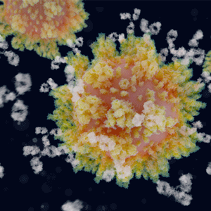 COVID-19 virus