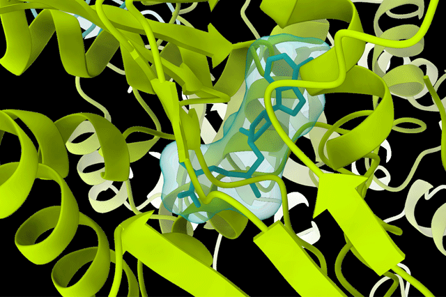 Structural image of a protein using cryo-EM