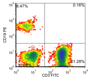 Chart showing CD19PE on the Y axis an CD3FITC on the X axis.