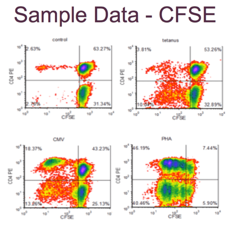 Sample data - CFSE