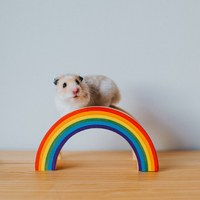 Hamster model