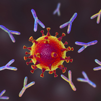 Neutralizing antibodies