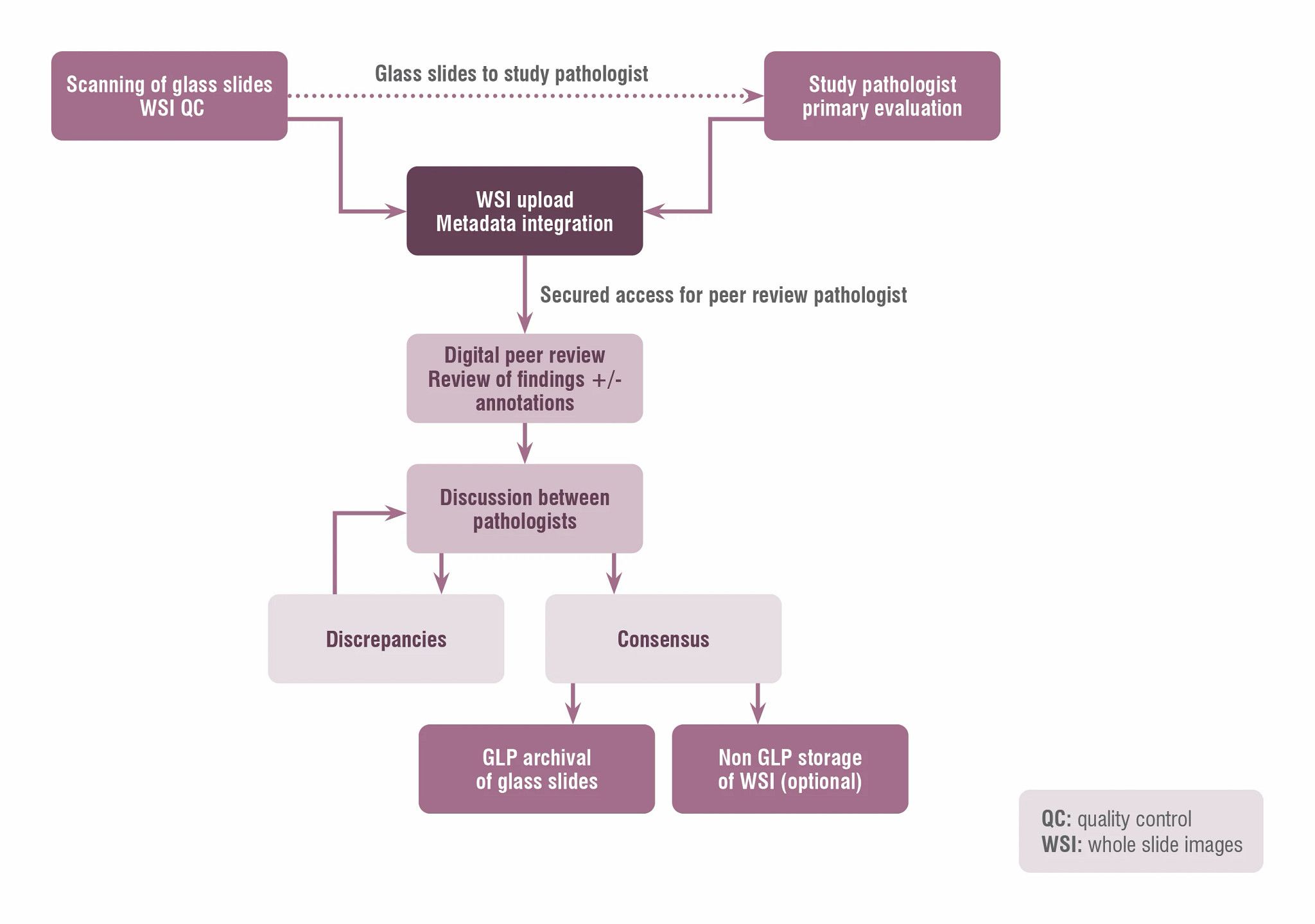 Digital Path Peer Review