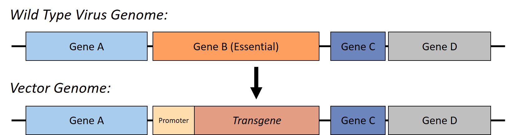 RCV-Figure 1