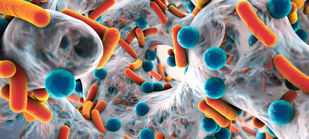 A New Antibiotic is Slowly Making a Big Entrance | Charles River