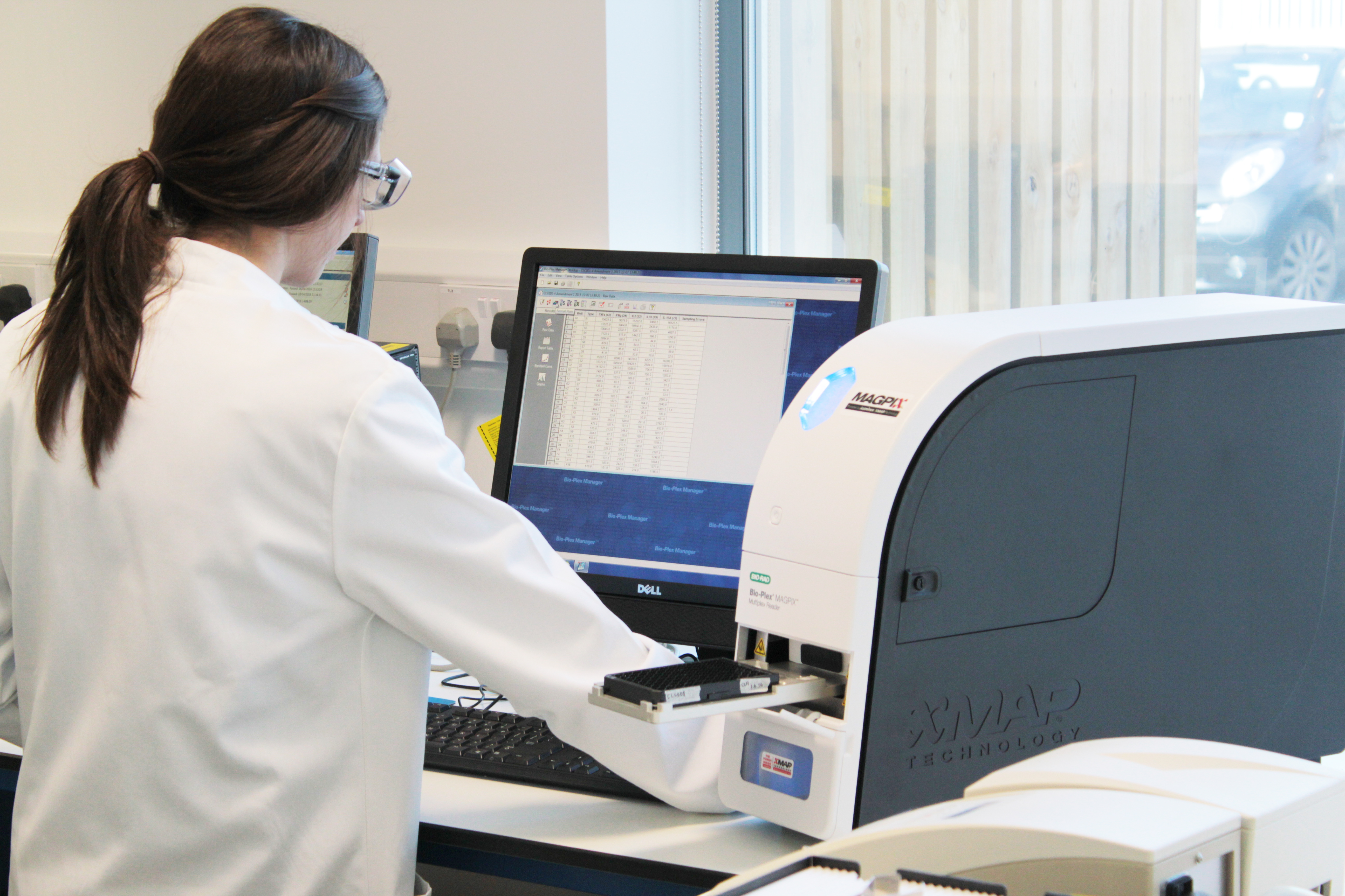 Researcher in immunology lab testing potential unwanted reactions (e.g., cytokine release syndrome) of a monoclonal antibody used to block inhibitory pathways in the immune system