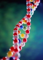 micro_dna1_0004.jpg
