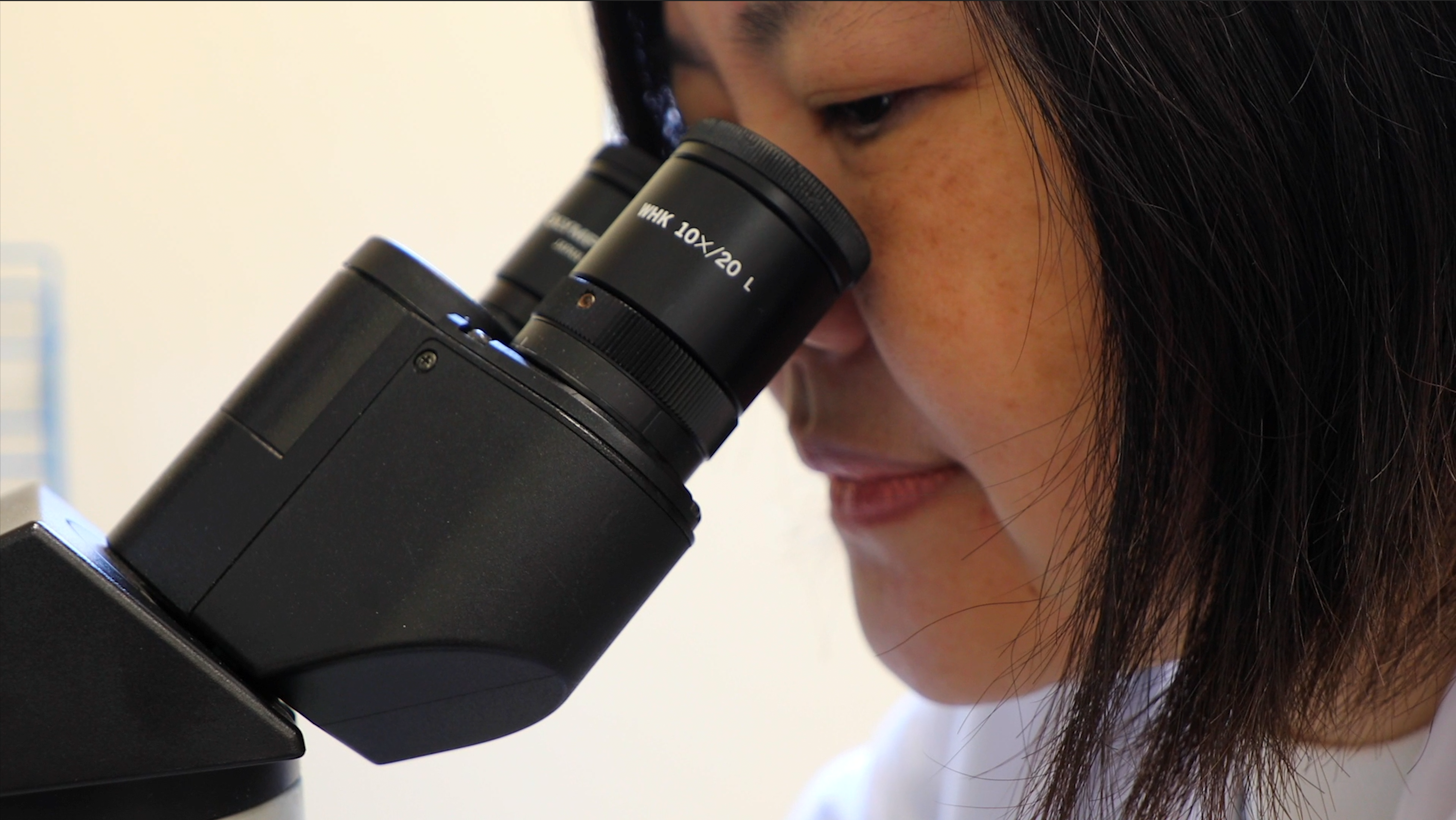 stem cell translating center, project of the California Institute of Regenerative Medicine