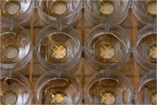 Figure 1 Figure 1