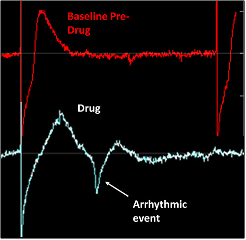 Figure 2 Figure 2