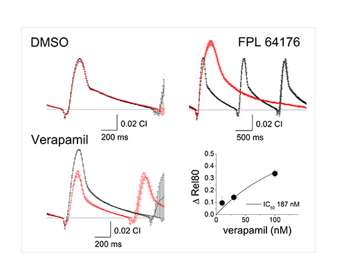Figure 3 Figure 3