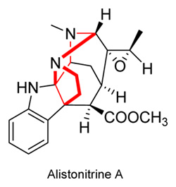 Alistonitrine A, extracted from Alstonia scolaris, 15kg of leaves gives 5mg of Alistonitrine A
