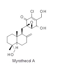 Molecular diagram for Myrothecol A