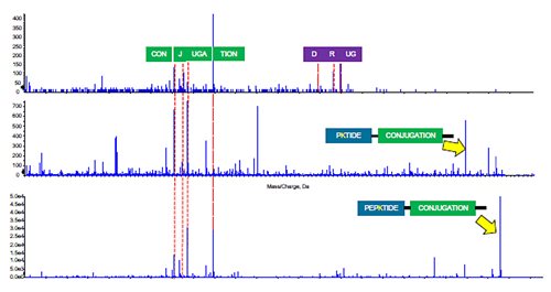 Figure 1 - Ladder sequences