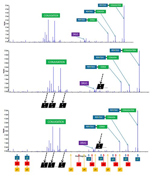 Figure 1 - Spectra and peptides
