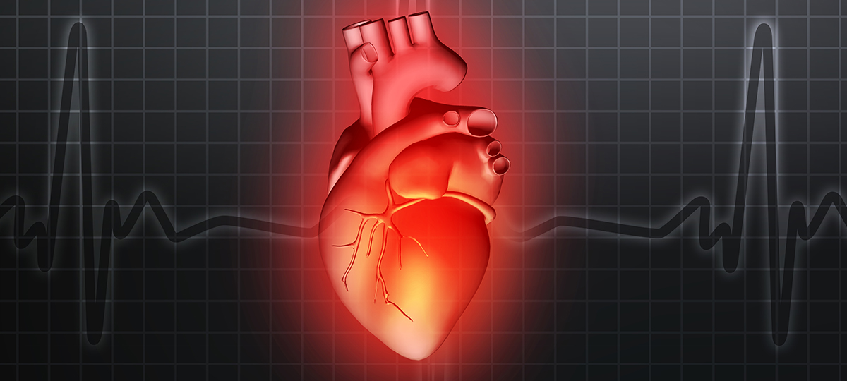 Changing Heart Rhythms | Charles River