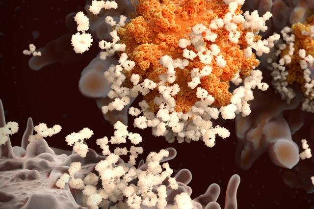 Illustration of a vaccine attacking a virus.