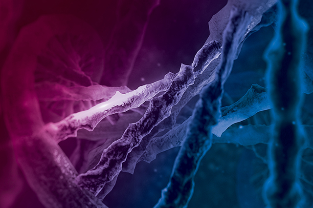 3D Rendering of DNA overlaid with Vital Science Colors.